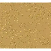 Versace KLASSIEK BLOEMETJES BEHANG - Metallic - AS Creation Versace 4