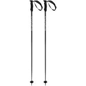 Völkl Phantastick Iii Stokken