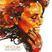 RecordCityJP Anouk - Paradise And Back Again (LP)