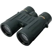 Steiner Observer 10X42