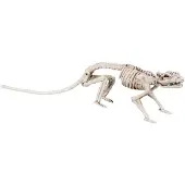 Boland - Decoratie Skelet rat - Horror - Horror