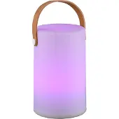 Reality Oplaadbare led RGB Tafellamp Aruba ()