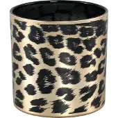 Ptmd collection PTMD Desiree Windlicht Cheetah - H15 x Ø15 cm - Glas - Goud