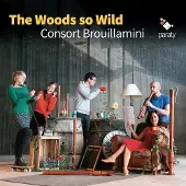 Virgin Music Group B V Cnt The Woods So Wild