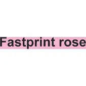 Fastprint Kopieerpapier Roze A4 120gr
