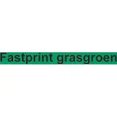 Fastprint Kopieerpapier Grasgroen A4 120gr