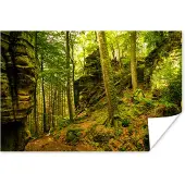 PosterMonkey Poster Bomen - Steen - Bos - Natuur - Planten - 90x60 cm