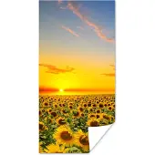 PosterMonkey Poster Bloemen - Zonnebloem - Zonsondergang - Nacht - Oranje - 80x160 cm