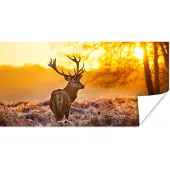 PosterMonkey Poster Hert - Dieren - Zonsondergang - Winter - Heide - Natuur - 120x60 cm