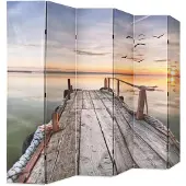 vidaXL Kamerscherm inklapbaar meer 228x170 cm