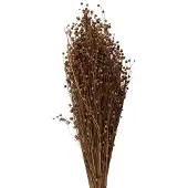 Clayre & Eef Droogbloemen 60 cm Beige Droogbloemen