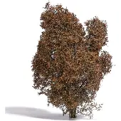 Busch 3590 Struik 150 mm Herfst