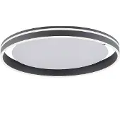 Paul Neuhaus Design plafondlamp Q-Vito Ø 59cm