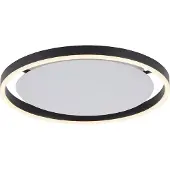 Paul Neuhaus Led plafonnière Ritus Ø 40cm