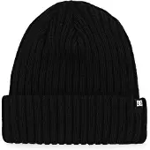 Dc-shoes Beanie Fish N Destroy 2