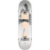 Globe G1 Stack Lone Palm Skateboard