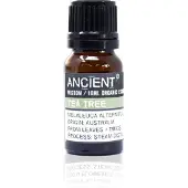 Ancient Wisdom Biologische Etherische Olie Tea Tree - 10ml - Essentiële Oliën Aromatherapie
