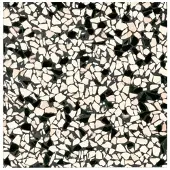 Terre d'Azur Terre d´Azur Granito terrazzo vloertegel pisa 40x40 gerectificeerd