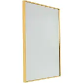 Fragix Wandspiegel Fragix | Fragix metaal goudkleurig 60x40x3 cm wandspiegels | NADUVI