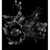Pias Spotlights - Love & Decay (CD)