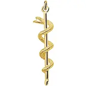 Trendjuwelier huiscollectie 4002390 Gouden bedel Esculaap