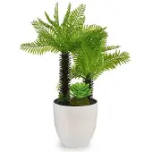 Ibergarden Decoratieve plant Wit Groen Plastic (18 x 33 x 18 cm)