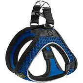 Hunter - Harness Hilo Comfort - Hondentuig Halsumfang 37-42 cm - Bauchumfang 40-46 cm, blauw