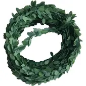 Rayher Hobby and materialen Guirlande-slinger - kunststof - 500 cm - Kunstplanten