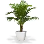 Maxifleur Kunstplanten Paradize kunstpalm Promo 100cm