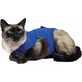Kvp Recova Kattenjasje