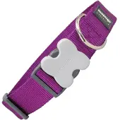 Red Dingo Dog Hondenhalsband