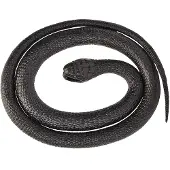Wild republic slang Mamba junior 117 cm rubber zwart
