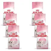 Royal Canin Kitten - Kitten-Kattenvoer - 6 x 2 kg