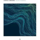 Pias Oerknal Ensemble - Narrow Numerous (CD)