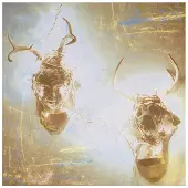 Konkurrent Minus Story - Heaven And Hell (CD)