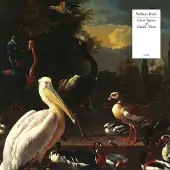Konkurrent William Doyle - Great Spans Of Muddy Time (CD)