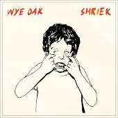 Virgin Music Group B V Cnt Shriek