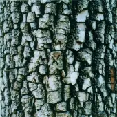 Konkurrent Ativin - Interiors (CD)
