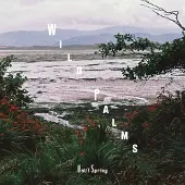 Konkurrent Wild Palms - Until Spring (LP)