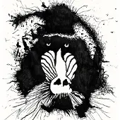 Konkurrent Feral Ohms - Feral Ohms (CD)