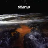 Konkurrent Male Bonding - Endless Now (LP)