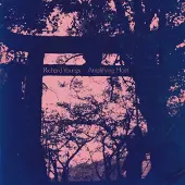 Konkurrent Richard Youngs - Amplifying Host (LP)