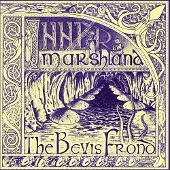Konkurrent Bevis Frond - Inner Marshland (CD)