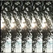 Konkurrent Pontiak - Dialectic Of Ignorance (CD)