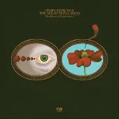 Konkurrent Chris Forsyth & The Solar Motel Band - The Rarity Of Experience (2 LP)