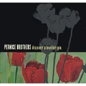 Konkurrent Pernice Brothers - Discover A Lovelier You (CD)