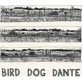 Konkurrent John Parish - Bird Dog Dante (CD)