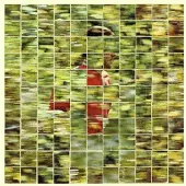 Konkurrent Dalhous - Will To Be Well (2 LP)