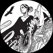Konkurrent Fhloston Paradigm - Cosmosis Vol. 1 (12" Single)