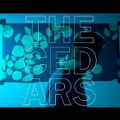 Konkurrent John Vanderslice - The Cedars (LP)